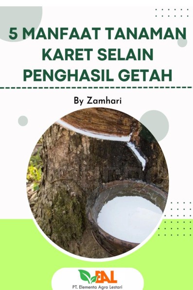 5 Manfaat Tanaman Karet Selain Penghasil Getah